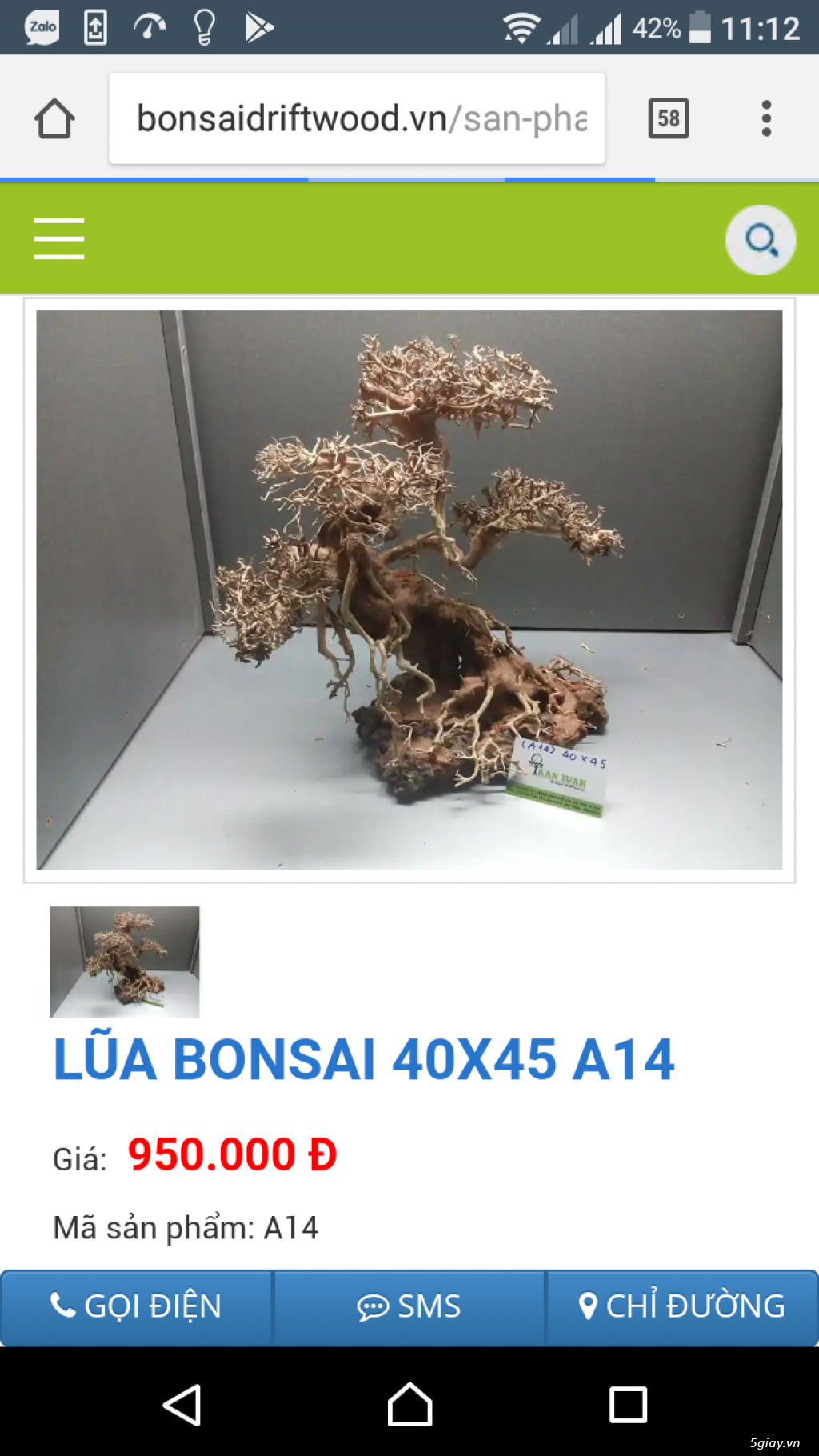 Cần bán lũa Bonsai - 19