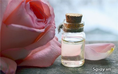 Chuyên Cung Cấp Phân Phối Mặt Hàng Tinh Dầu Gía Sỉ - 6