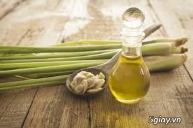 Chuyên Cung Cấp Phân Phối Mặt Hàng Tinh Dầu Gía Sỉ - 3