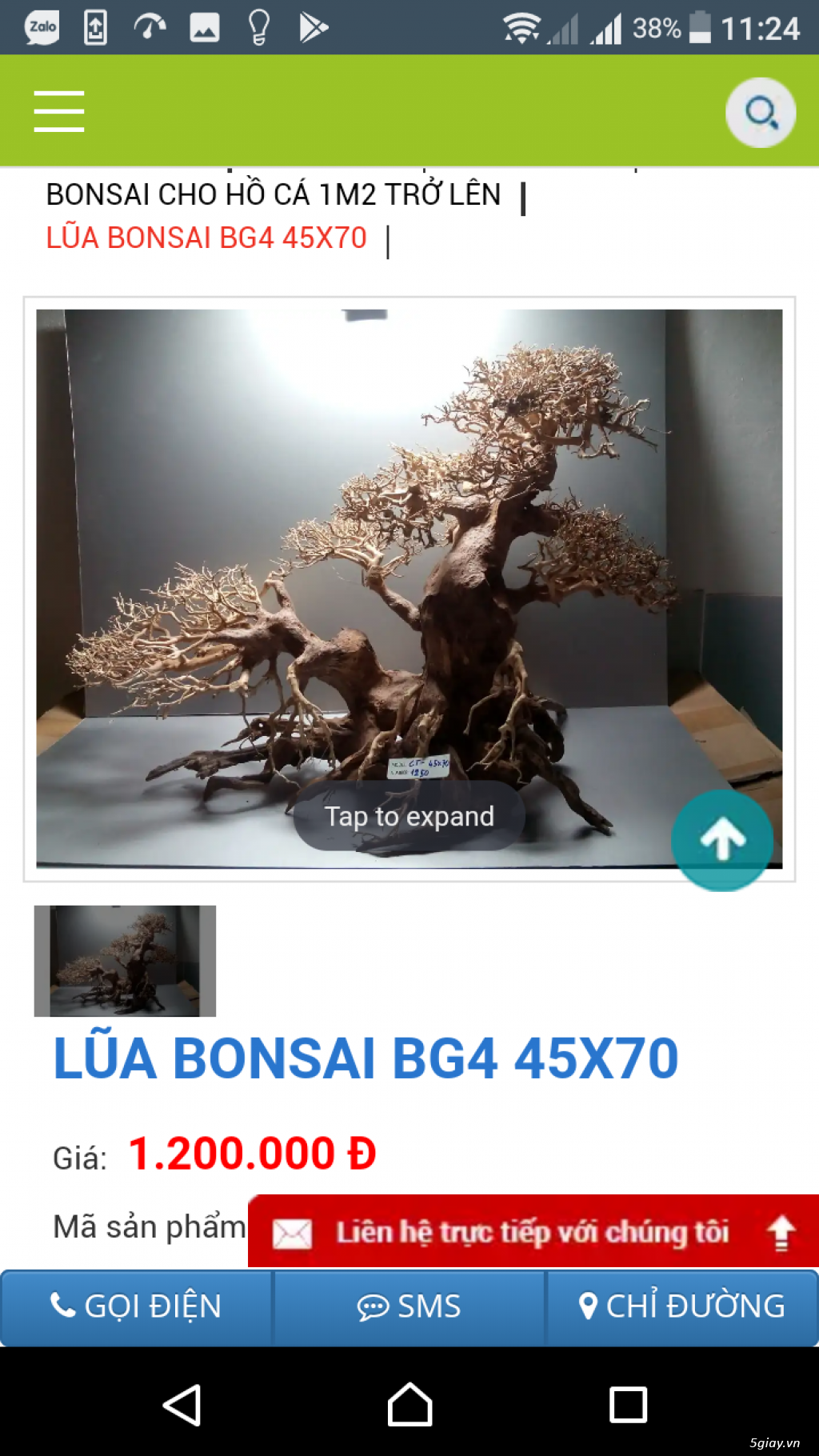 Cần bán lũa Bonsai - 8