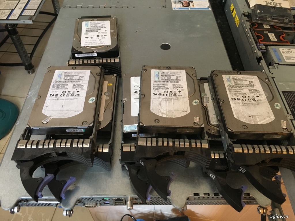 Server IBM System x3650 - 3