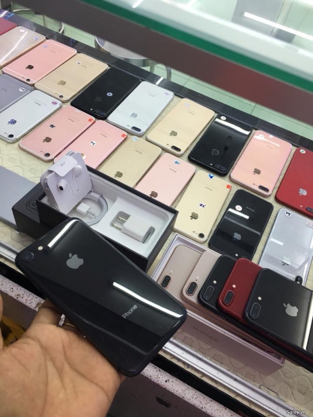 Iphone 8 Plus Đỏ and Iphone 8 G Đen - 3