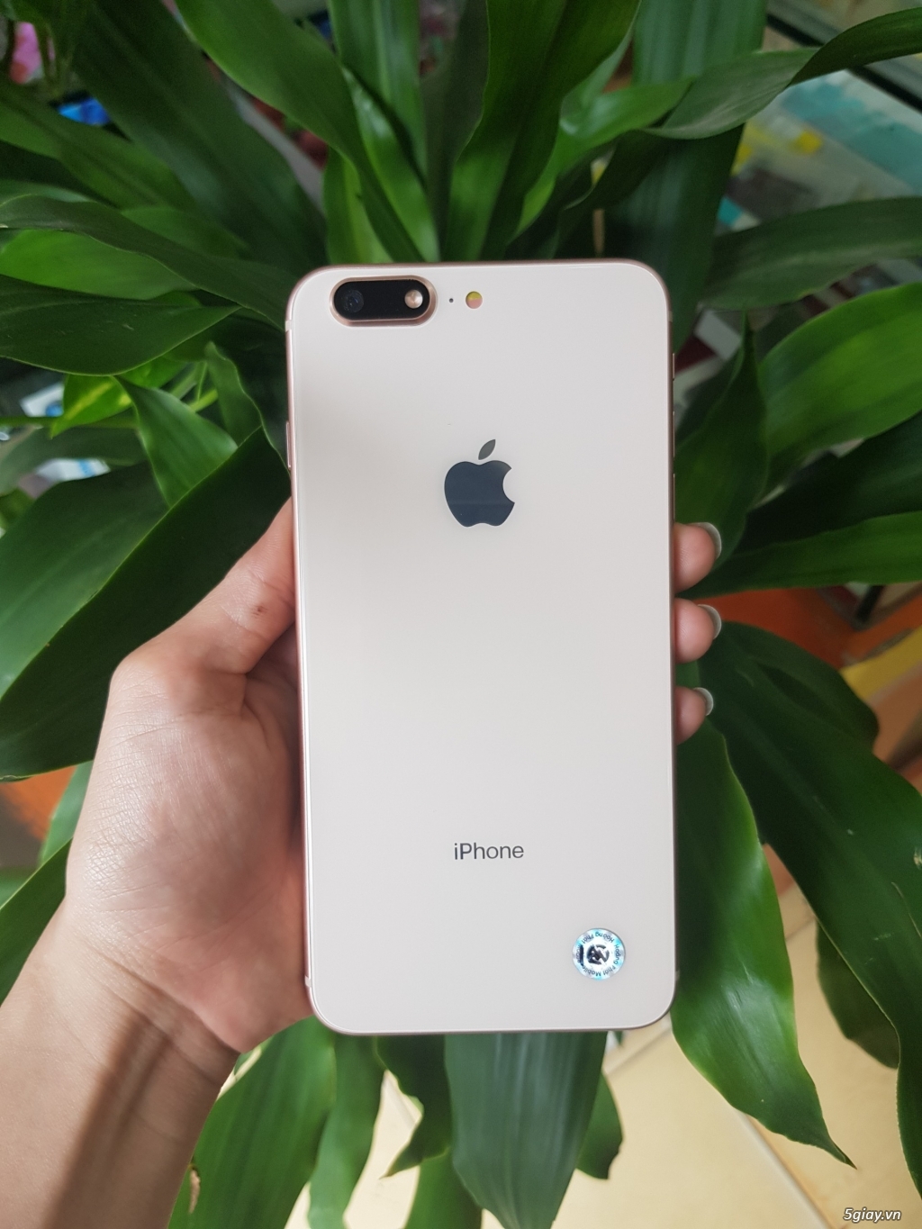 iphone 6 plus 16gb lên vỏ 8plud - 3