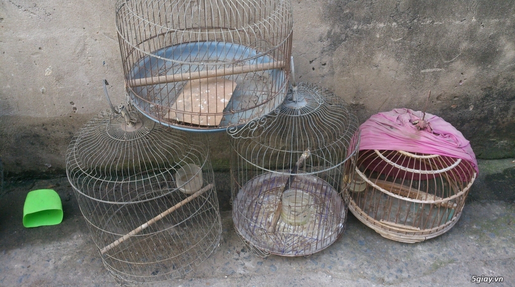 Thanh lí gà, bội , lồng gà, lồng chim - 4