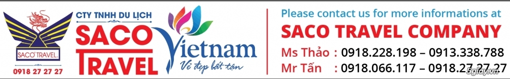 cong ty saco | du lịch và van chuyen - 5