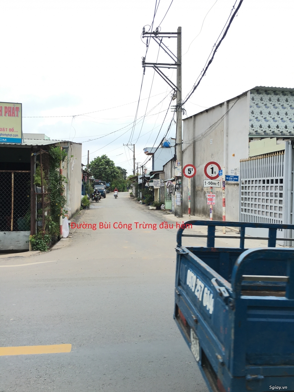 cho thuê nhà + đất 1000m2 có điện nước Nhị Bình Hốc Môn - 5