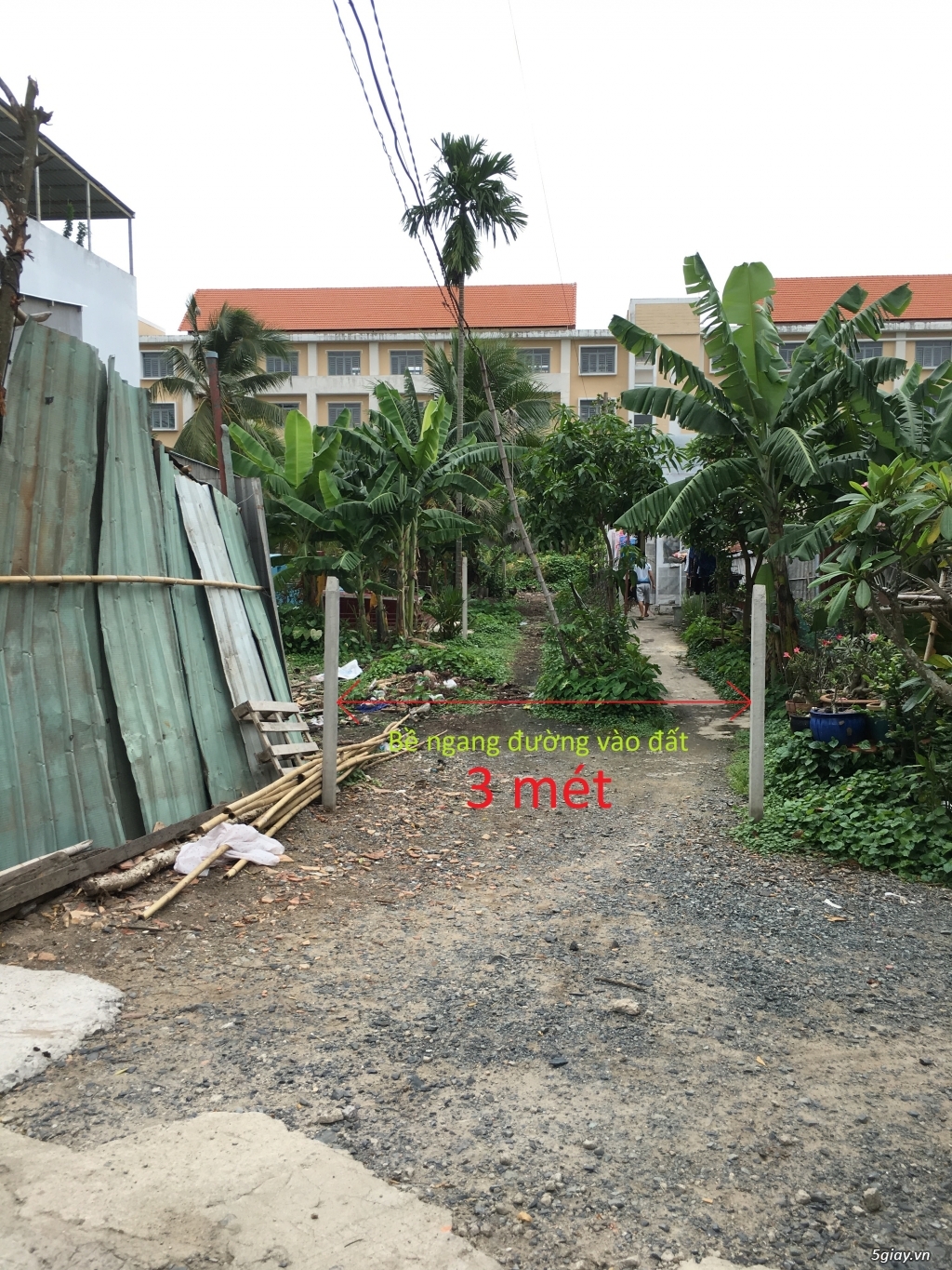 cho thuê nhà + đất 1000m2 có điện nước Nhị Bình Hốc Môn - 7