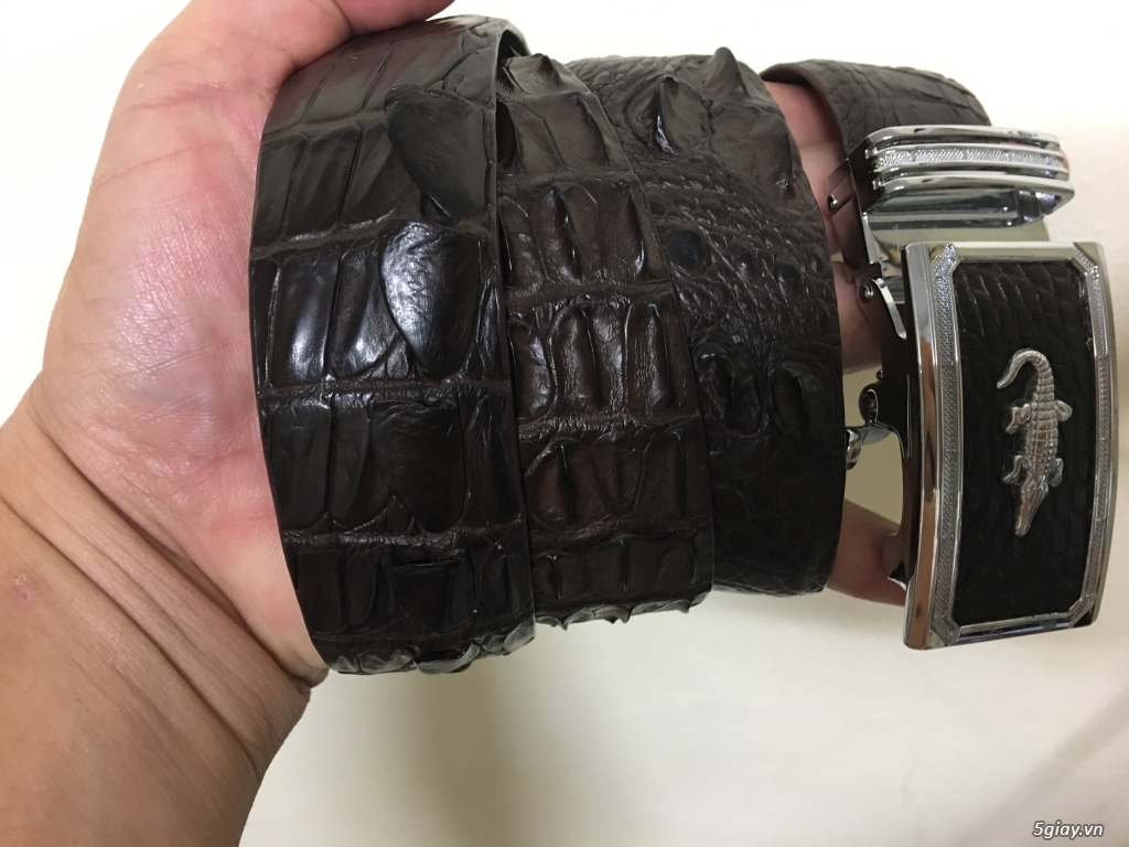 Dây nịt da cá sấu (da thật 100%) - 2