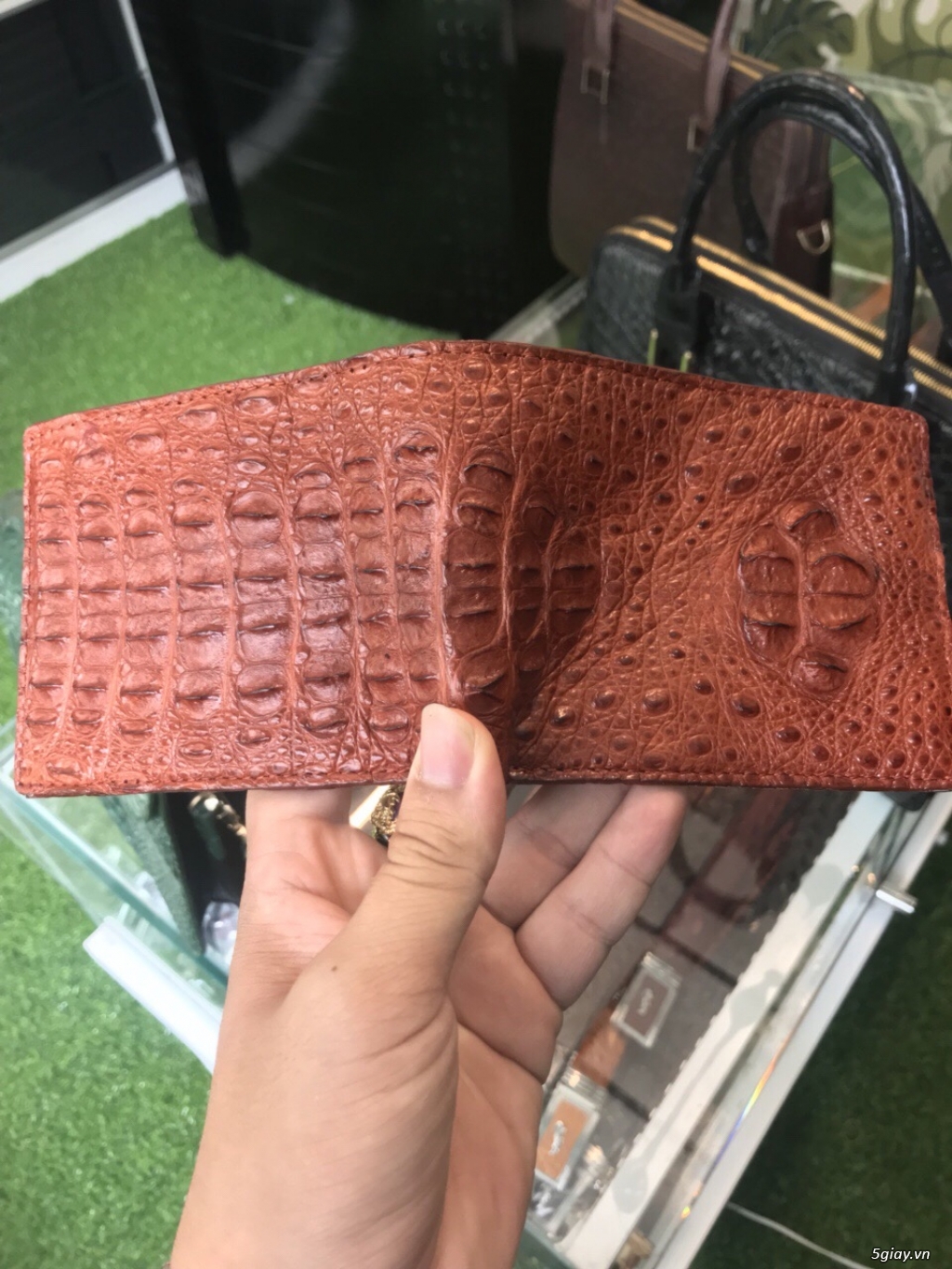 Ví nam da cá sấu (da thật 100%) - 7
