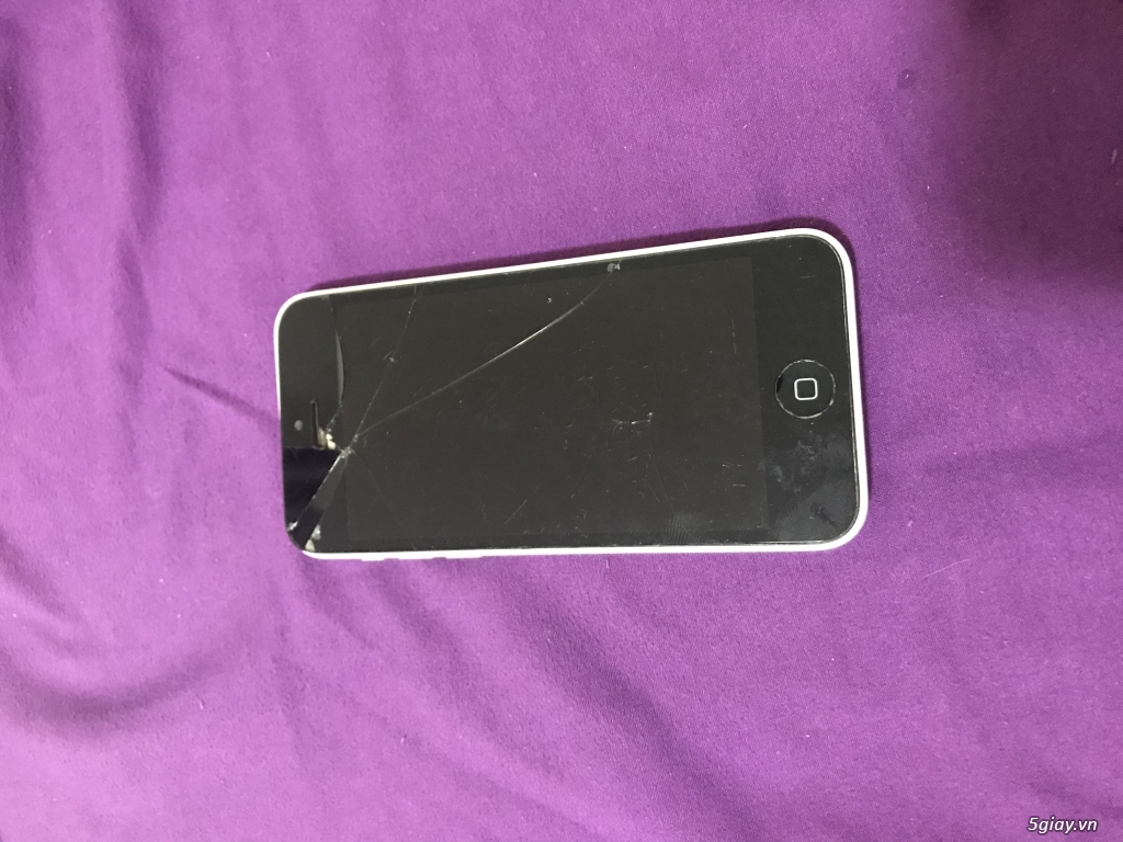 Xác ip 5c