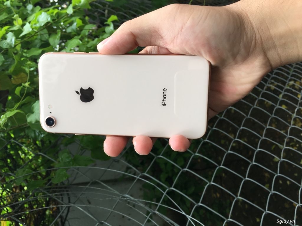 bán iphone 8 64g vàng chính hãng tgdđ còn bhanh 3/2019 như mới - 2