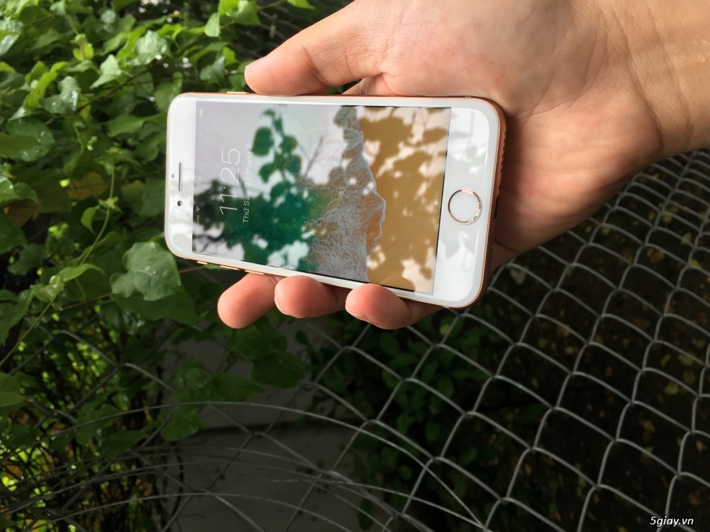 bán iphone 8 64g vàng chính hãng tgdđ còn bhanh 3/2019 như mới - 1