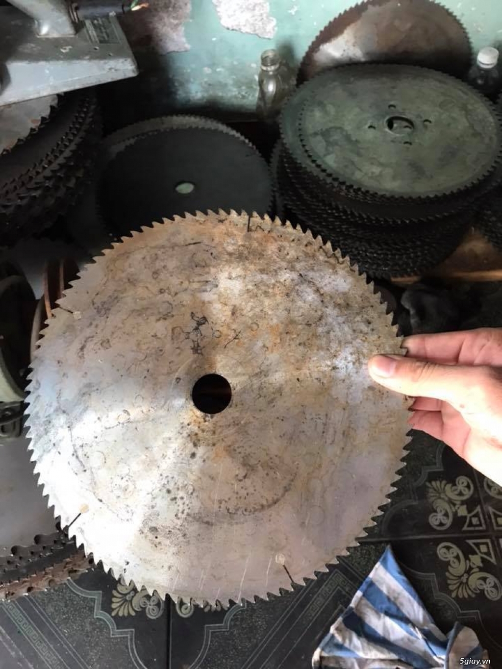 Lưỡi cưa gỗ , sắt , nhôm - 2