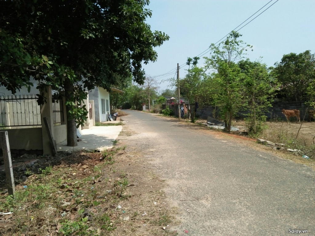 Phân Chia tài sản nên GĐ chúng tôi cần bán gấp - 2
