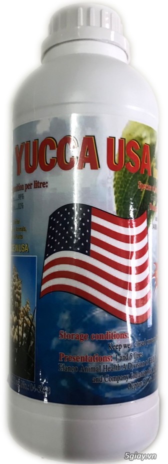Yucca USA