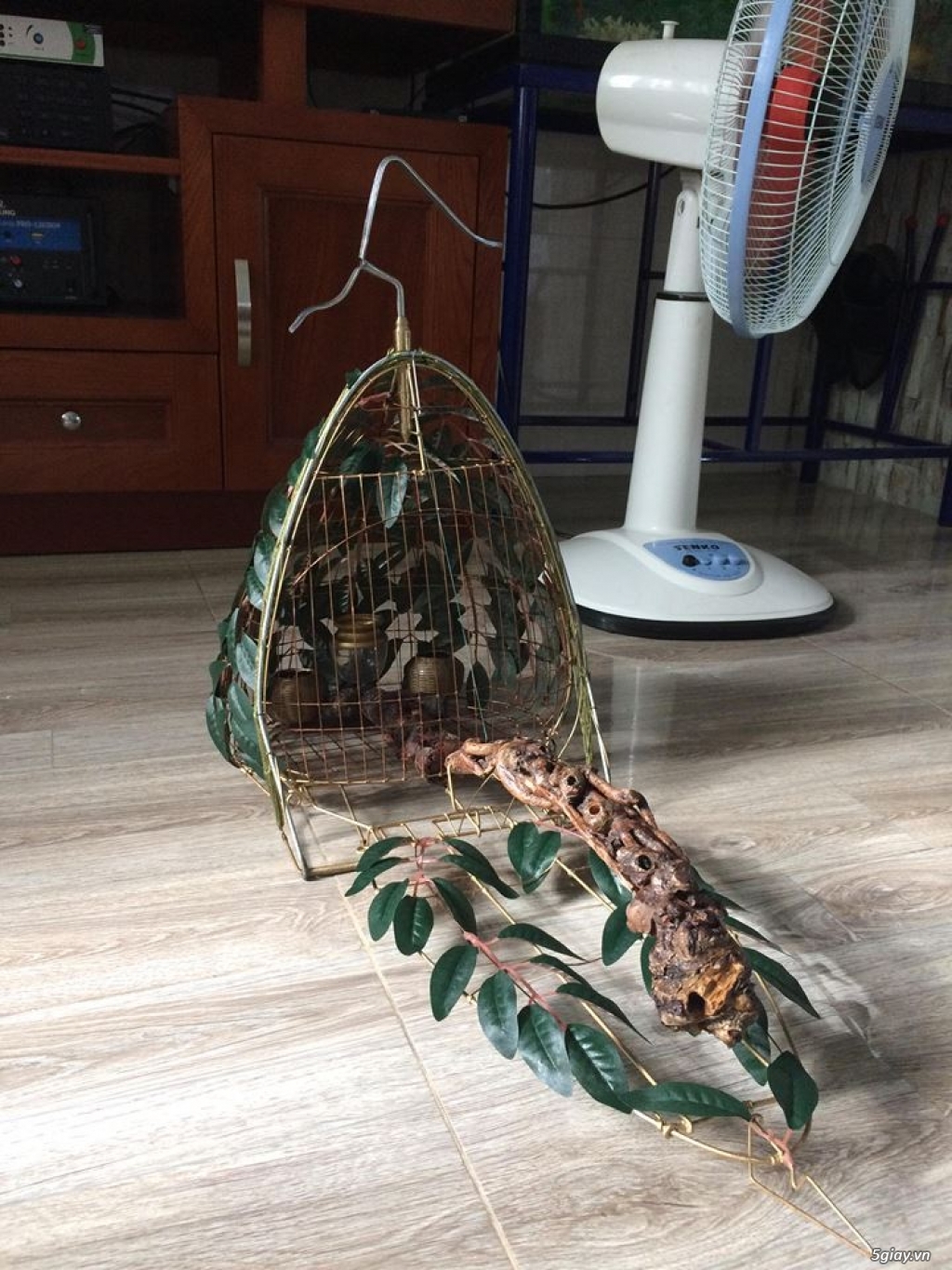 lụp cu gáy