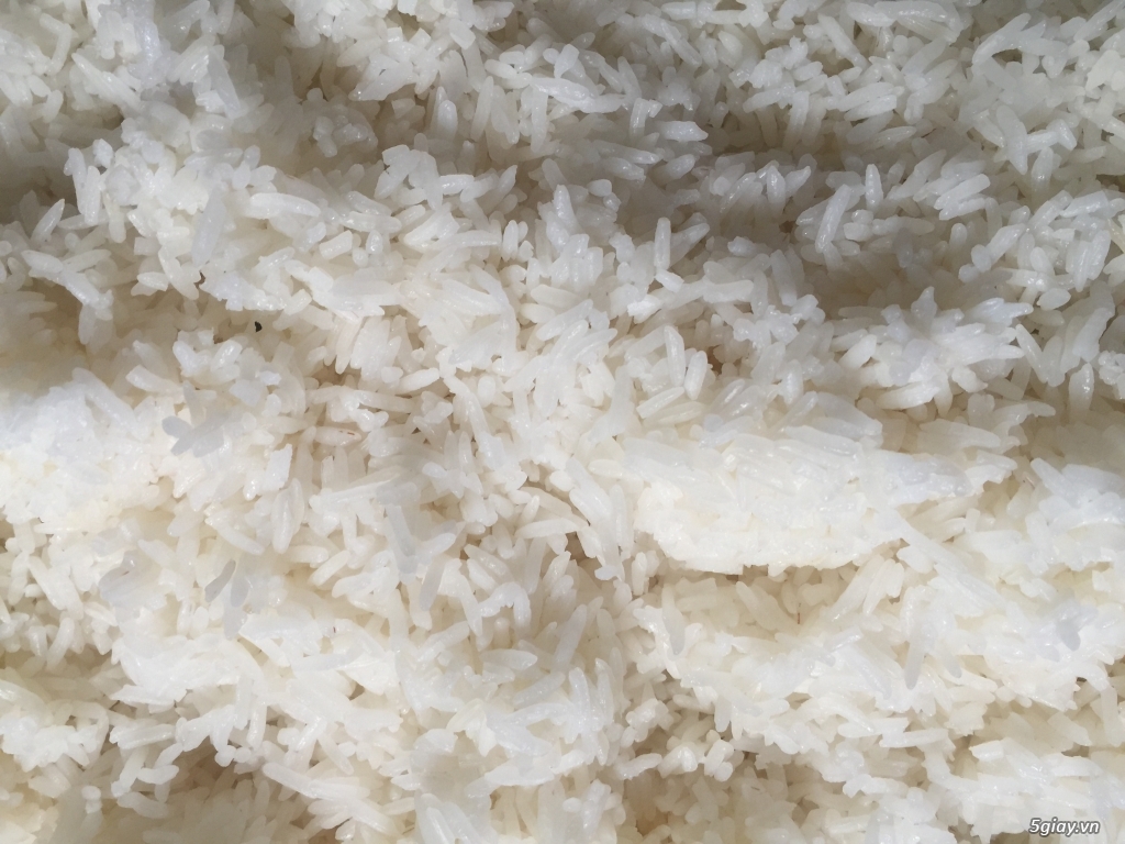 Gạo Sạch Campuchua nổi tiếng thế giớ - 2