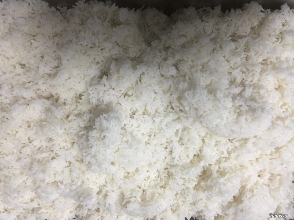 Gạo Sạch Campuchua nổi tiếng thế giớ - 3