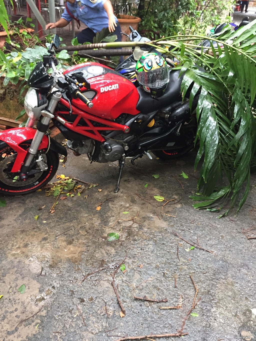 Càn bán ducati 795 803cc - 2