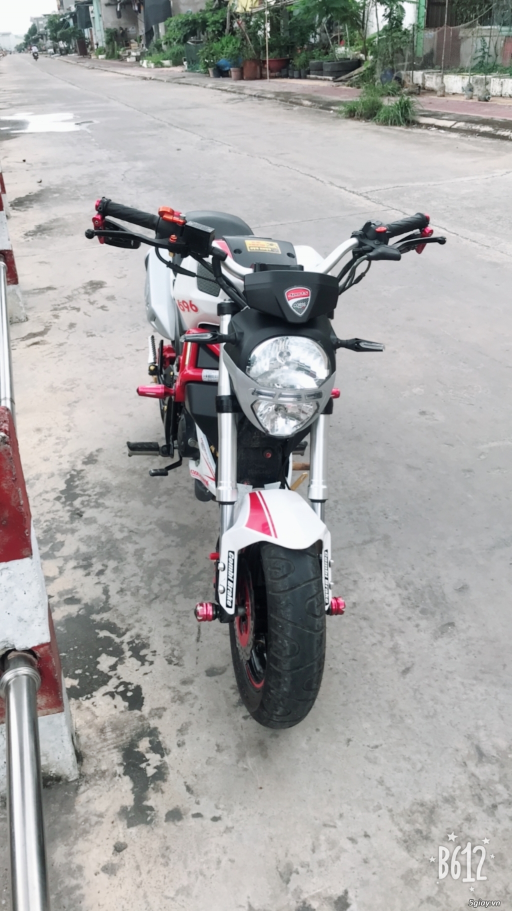 Bán Gl đucati mini - 1