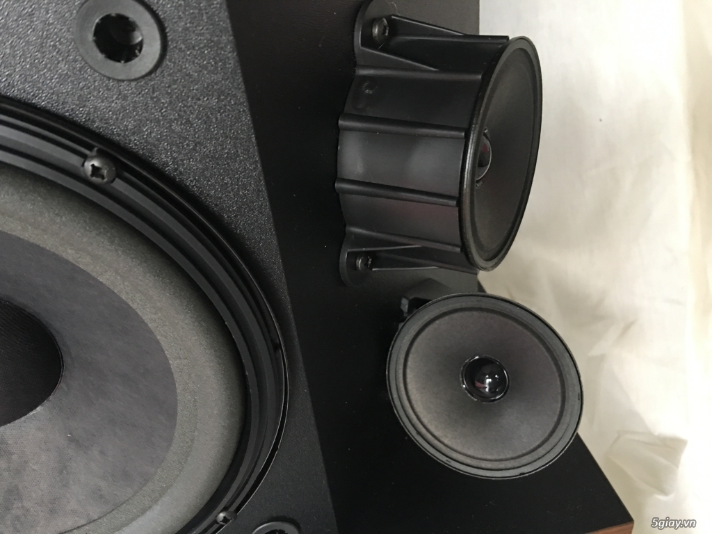 Loa Bose 4.2 series ii walnut