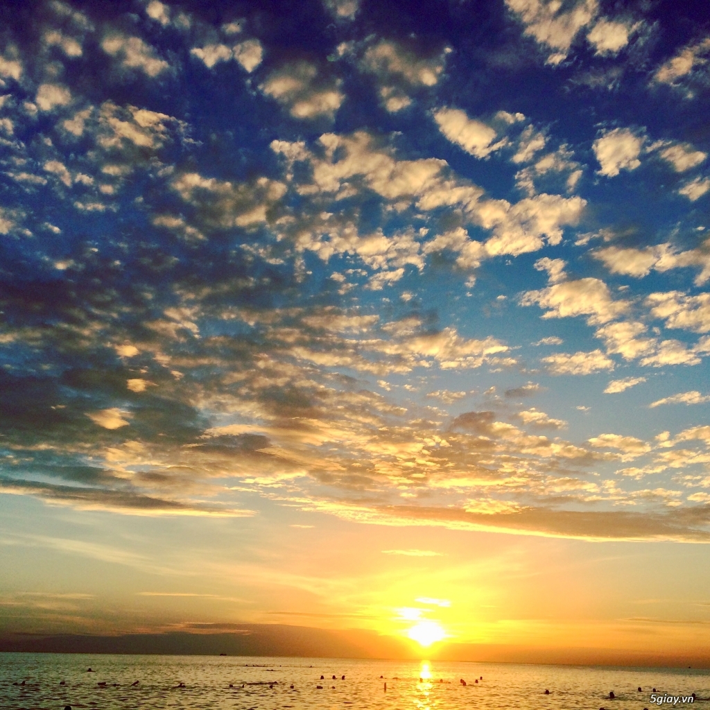 Rosa Alba Resort Phú Yên chỉ còn 5 suất nội bộ. mua ngay thôi - 3