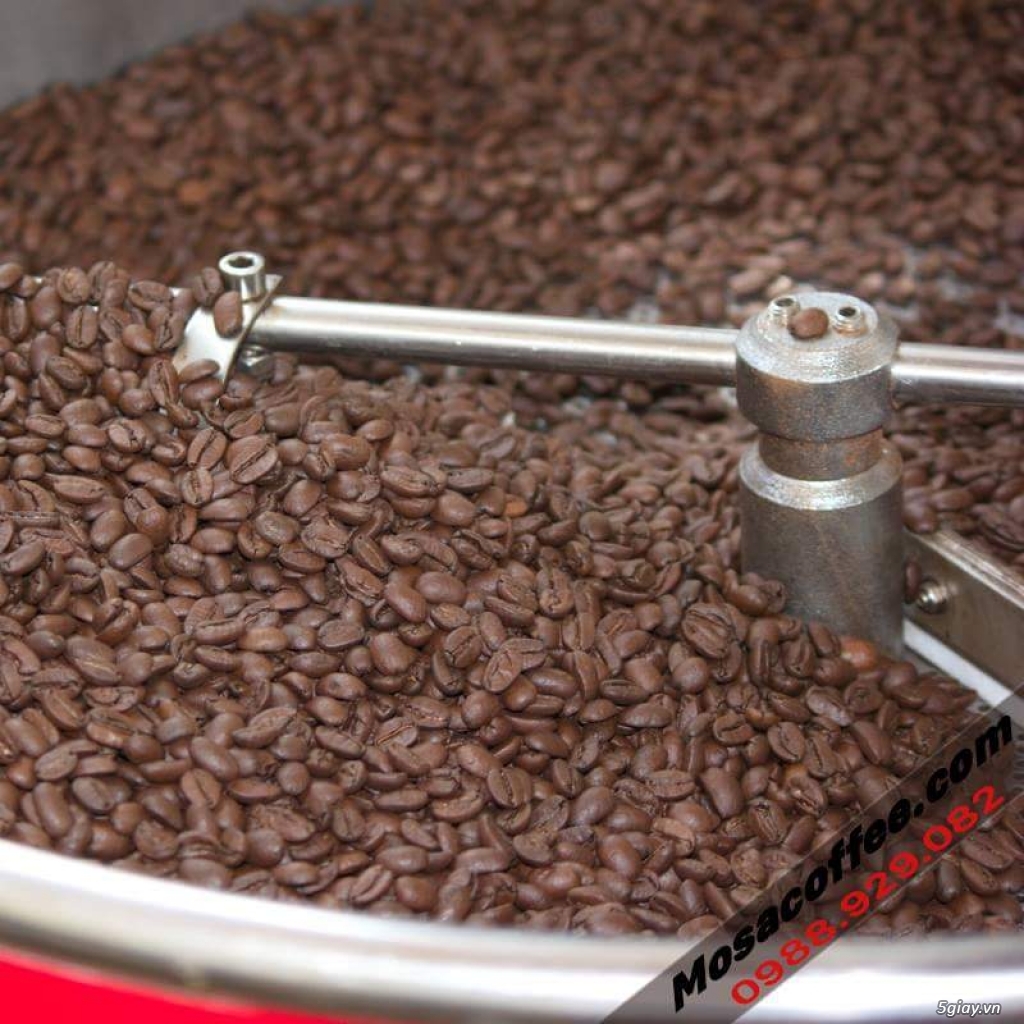 Chuyên cung cấp sỉ, lẻ cà phê rang Mộc - 1