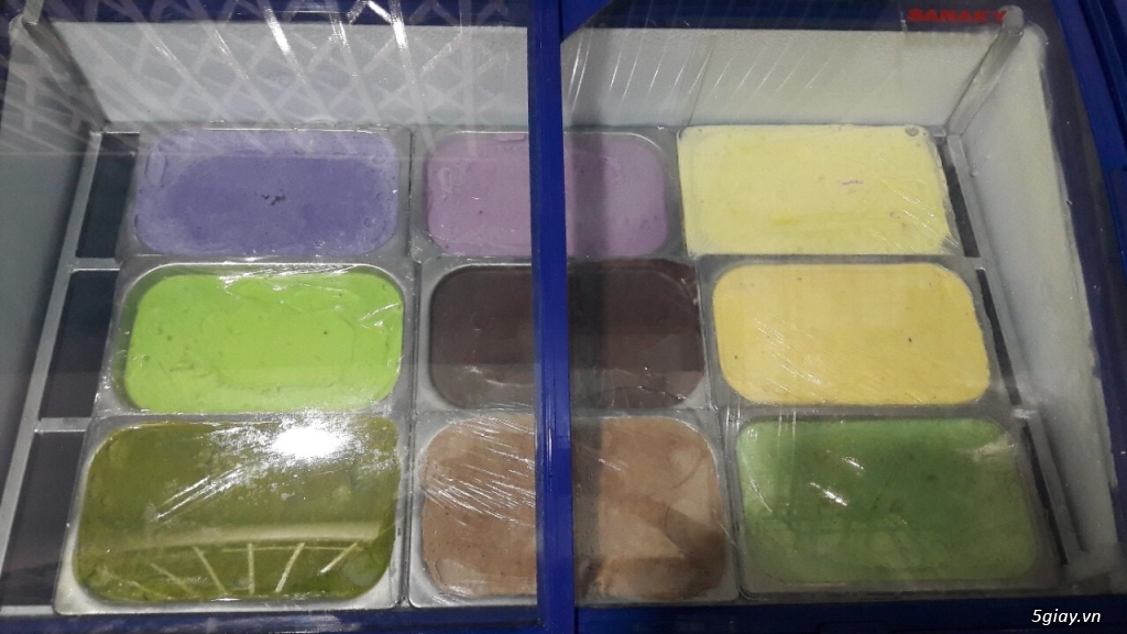 Bán tủ đông nắp kiếng lùa Sanaky VH3099k - 2