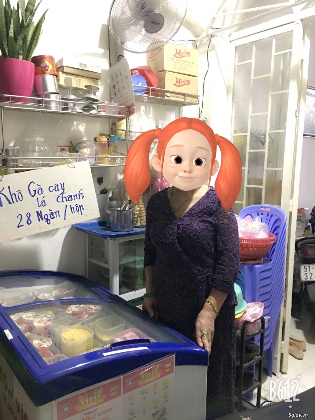 Bán tủ đông nắp kiếng lùa Sanaky VH3099k - 4