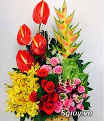 Hoa Tươi Đà Lạt - 1