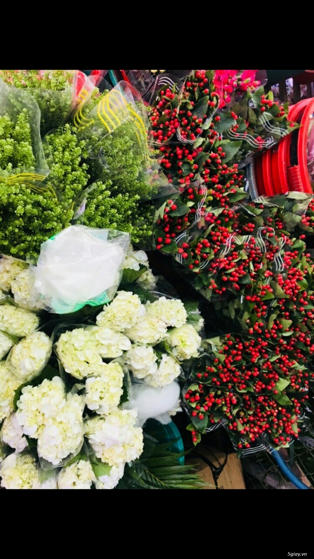 Cung Cấp Sỉ Và Lẻ Hoa Tươi Đà Lạt - 7