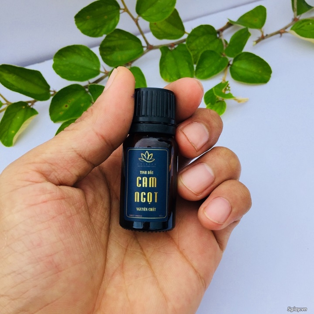 Tinh dầu cam | tinh dầu cam ngọt | tinh dầu cam ngọt nguyên chất - 2