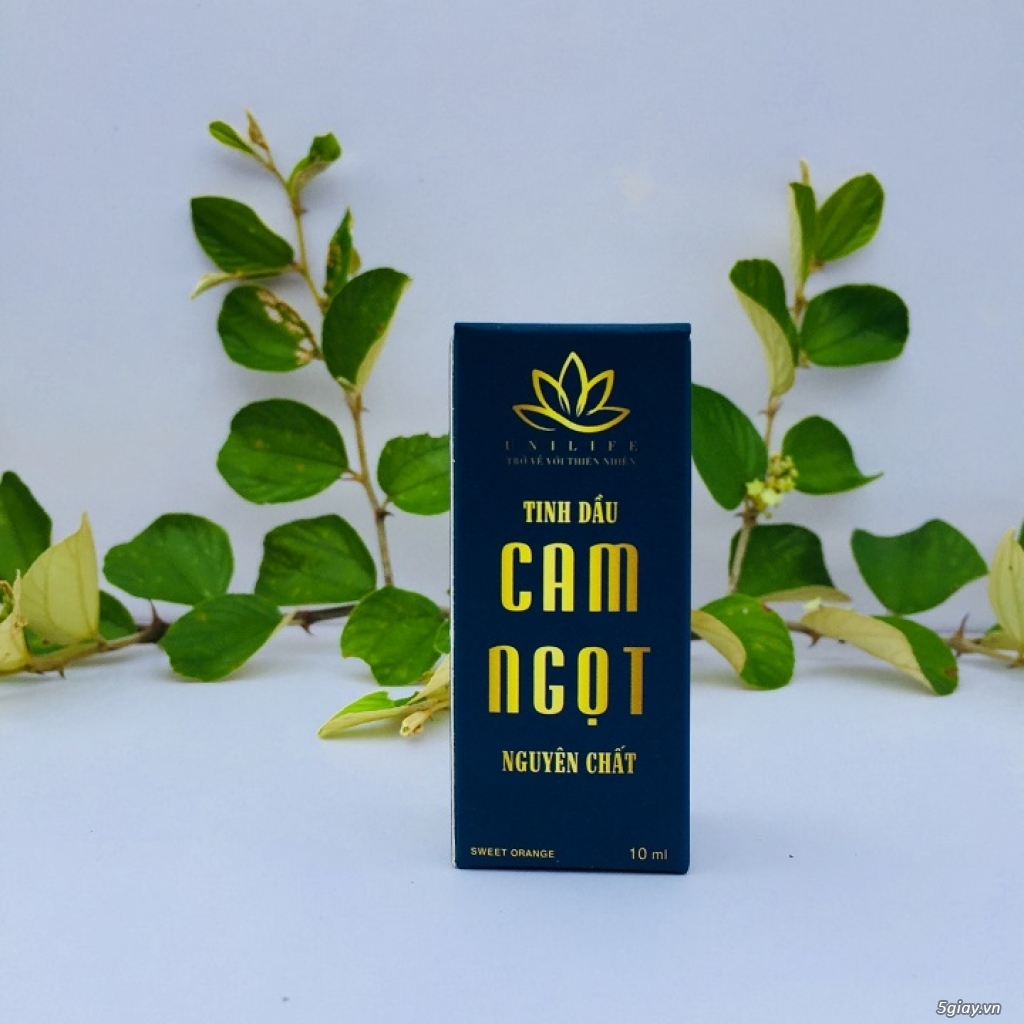 Tinh dầu cam | tinh dầu cam ngọt | tinh dầu cam ngọt nguyên chất - 1