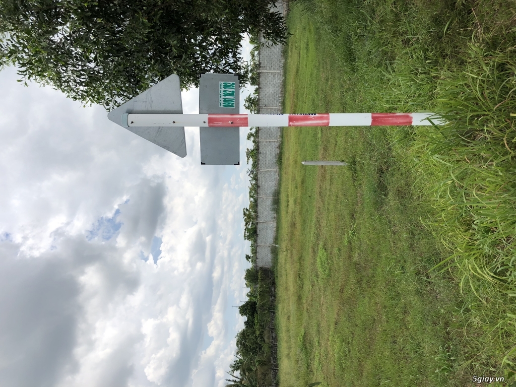 Đất trồng cây lâu năm Hoà phú Củ Chi