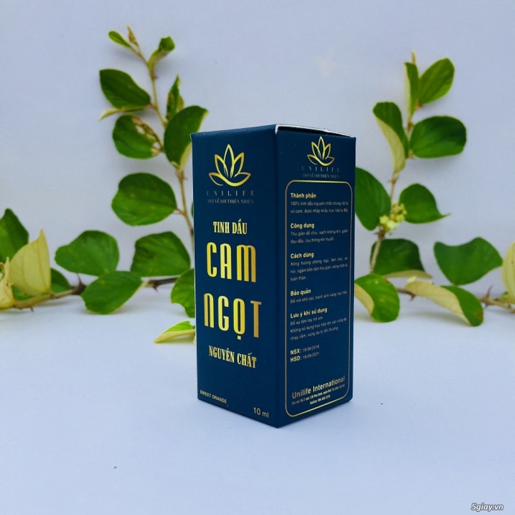 Tinh dầu cam | tinh dầu cam ngọt | tinh dầu cam ngọt nguyên chất - 3
