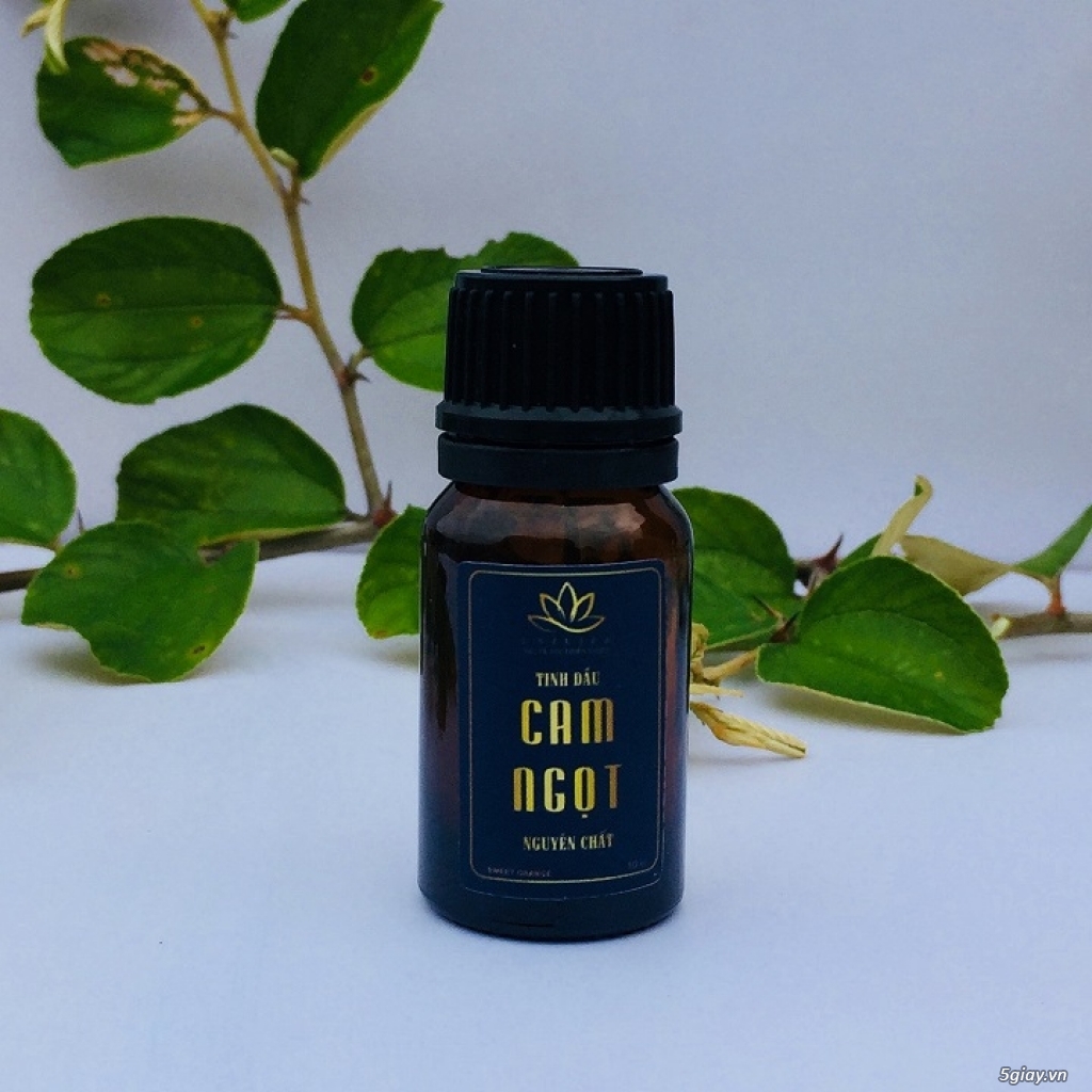 Tinh dầu cam | tinh dầu cam ngọt | tinh dầu cam ngọt nguyên chất - 4