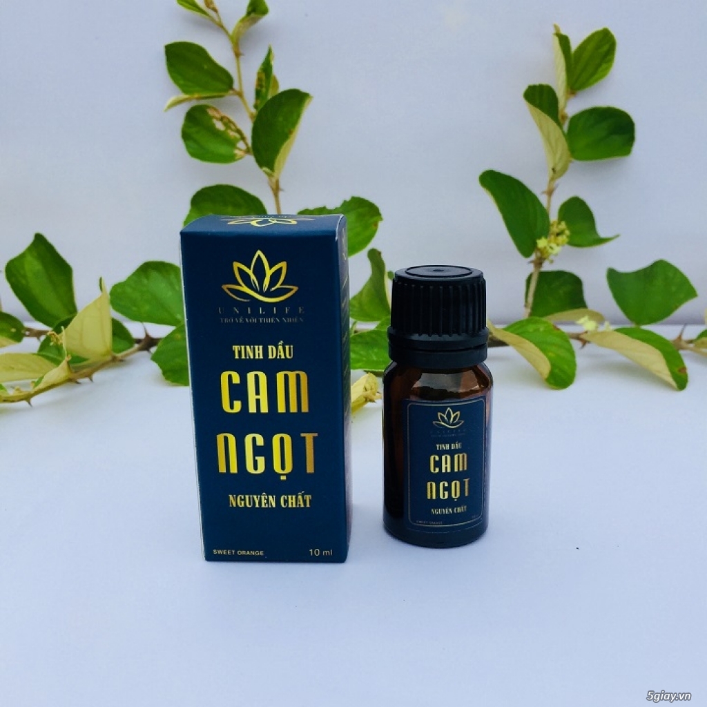 Tinh dầu cam | tinh dầu cam ngọt | tinh dầu cam ngọt nguyên chất