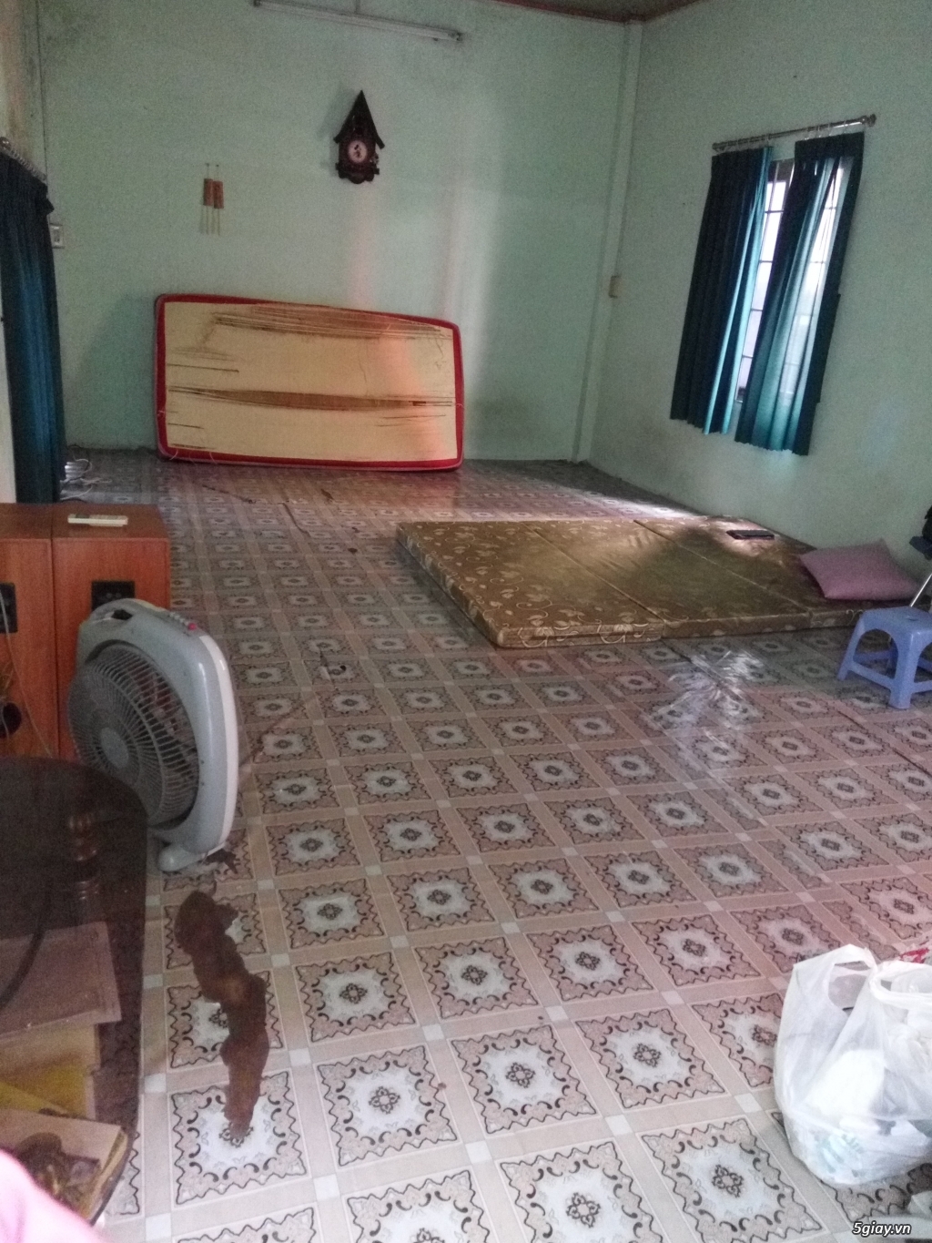 Cần bán 02 căn nhà cấp 4  DT: 60m2 HCM. - 12
