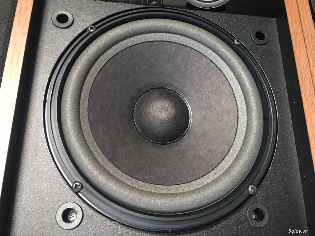 Loa Bose 4.2 series ii - 4