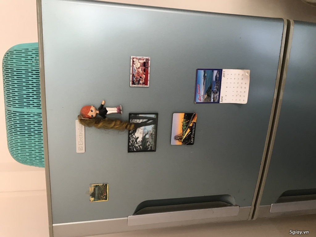 Tủ lạnh eletrolux 210 lít. San xuất thailand. - 8