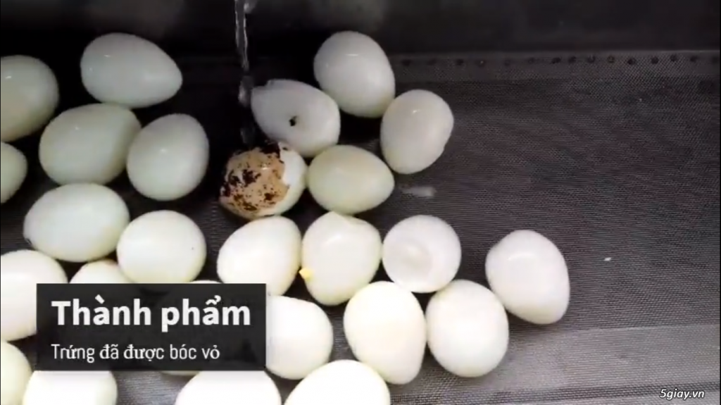 Máy bóc vỏ trứng cút năng suất 4500 trứng / h - 3