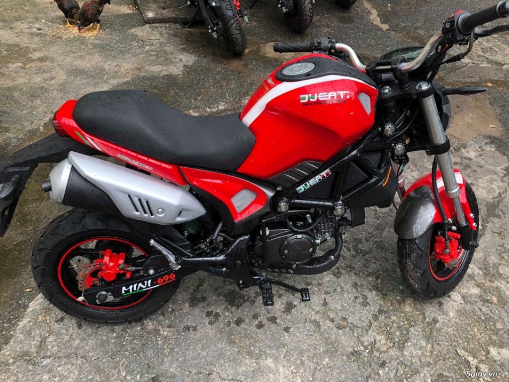 Mô tô con Ducati Mini Monster 110cc côn tay xe mới 100%