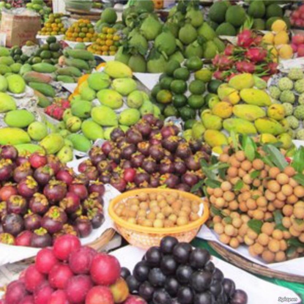 Vựa trái cây Miền Tây phân phối trái cây tươi sạch sỉ lẻ