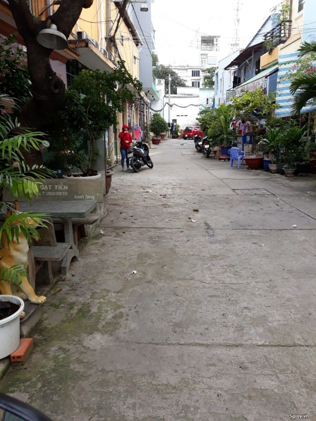 Bán nhà hẻm 343 Tạ Quang Bửu Hẻm Xe Hơi - 1