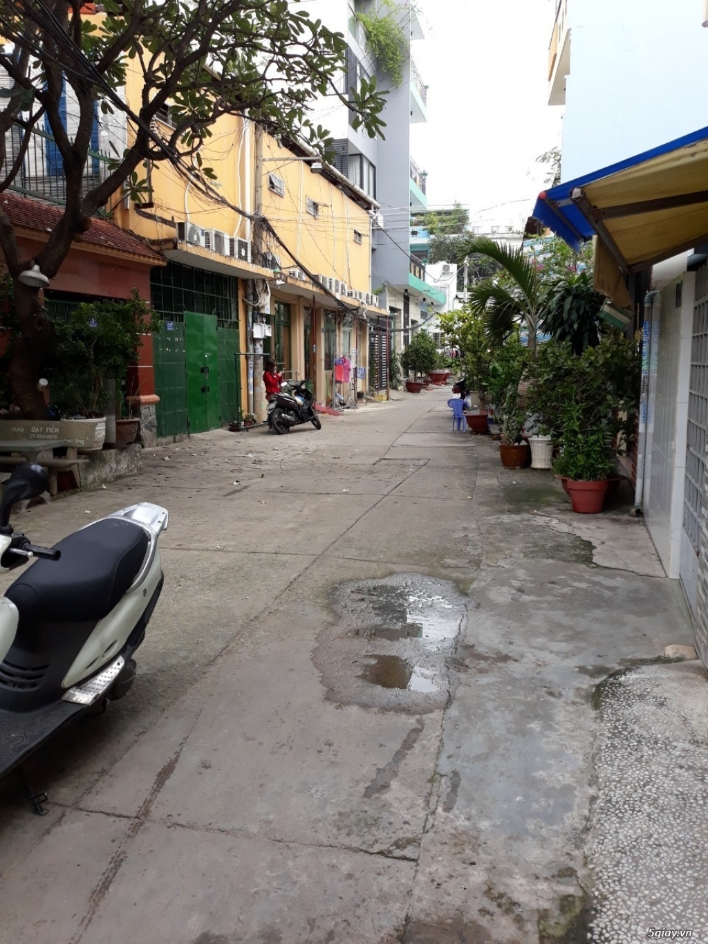 Bán nhà hẻm 343 Tạ Quang Bửu Hẻm Xe Hơi - 2
