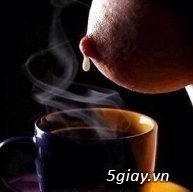 Ăn gì mà ngộ độc đến mất ?