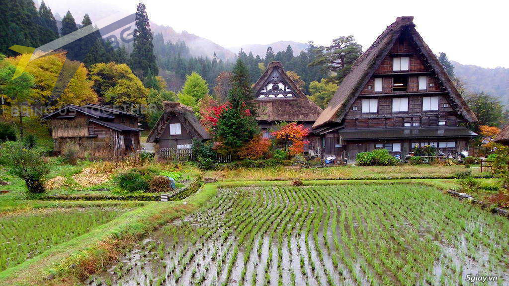 3 nét đẹp cổ xưa khi du lịch đến Nhật Bản hiện đại