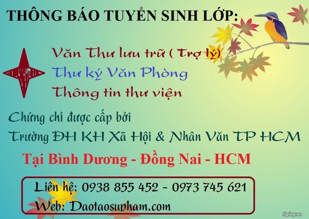 Học văn thư lưu trữ ở đâu? - 2