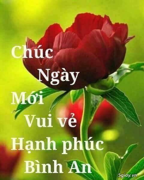 Thẻ cào 3 nhà mạng ck 20 gd vcb