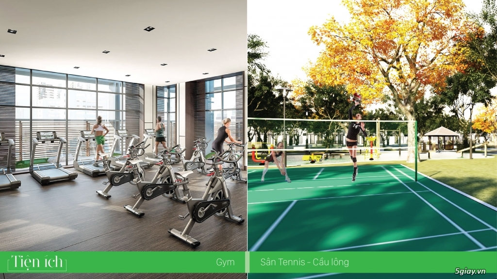 Mở bán khu căn biệt thự cao cấp tại Đà Nẵng - 4